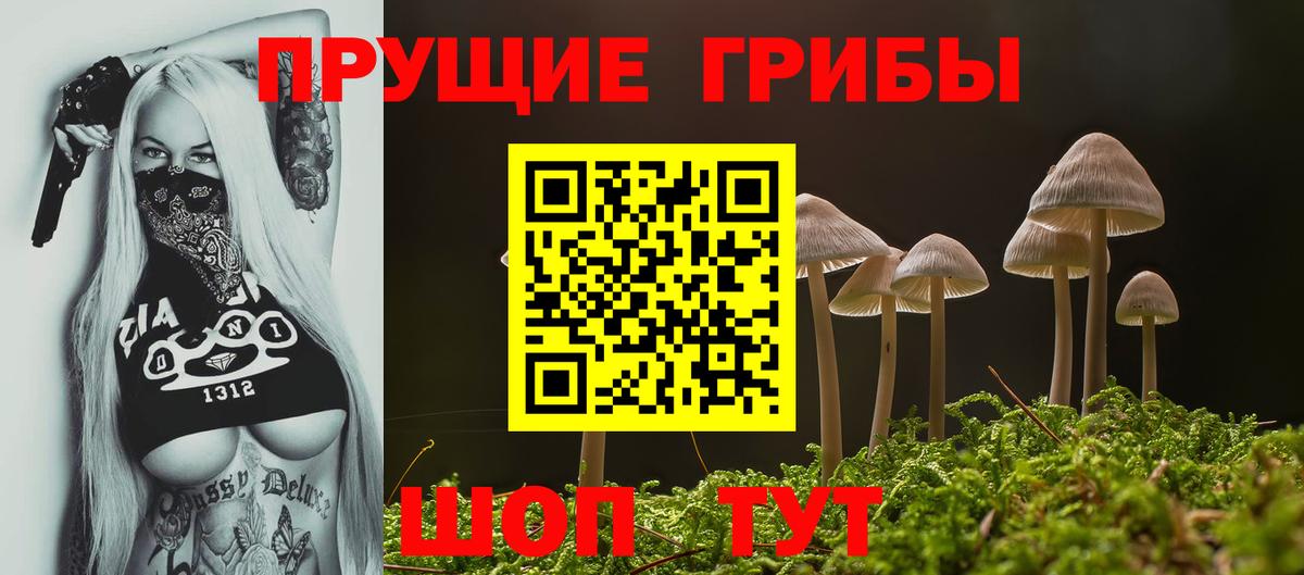 Псилоцибиновые грибы Cubensis  Вход с VPN  Дзержинский 