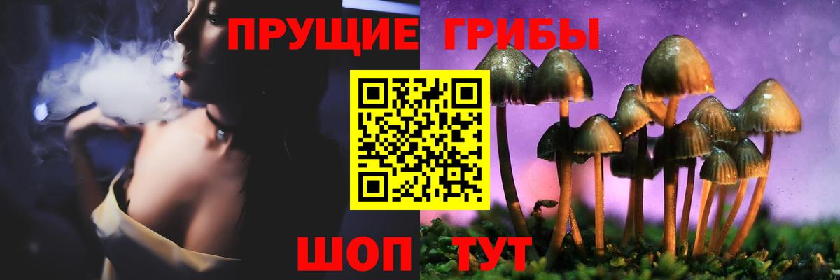 Псилоцибиновые грибы прущие грибы Дзержинский